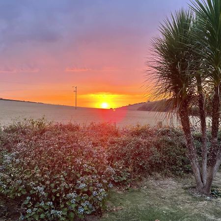 Westerley Country B & B With Exclusive Guest Lounge Buckfastleigh Extérieur photo