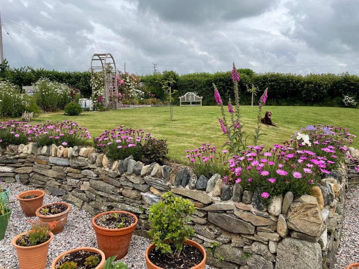 Westerley Country B & B With Exclusive Guest Lounge Buckfastleigh Extérieur photo