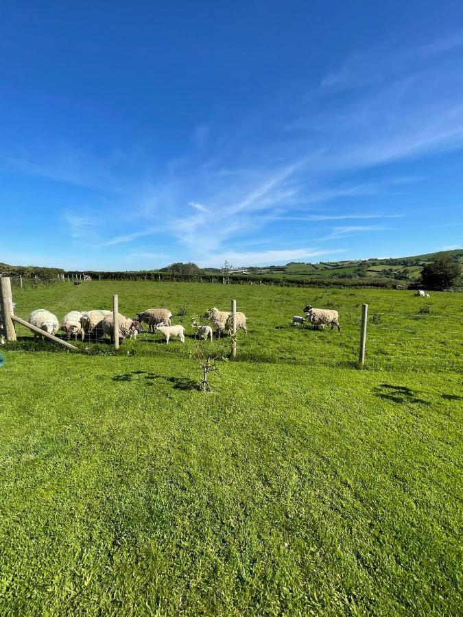 Westerley Country B & B With Exclusive Guest Lounge Buckfastleigh Extérieur photo