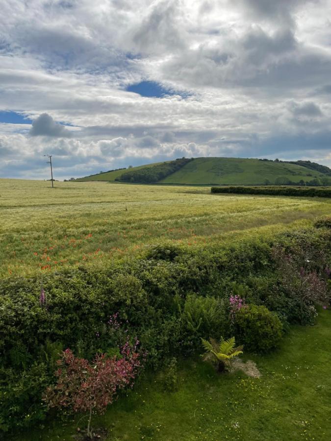 Westerley Country B & B With Exclusive Guest Lounge Buckfastleigh Extérieur photo