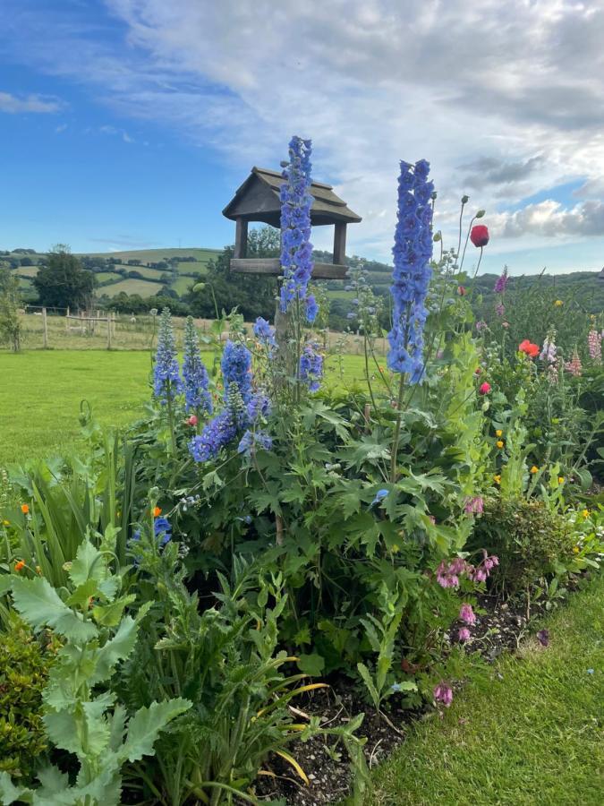 Westerley Country B & B With Exclusive Guest Lounge Buckfastleigh Extérieur photo