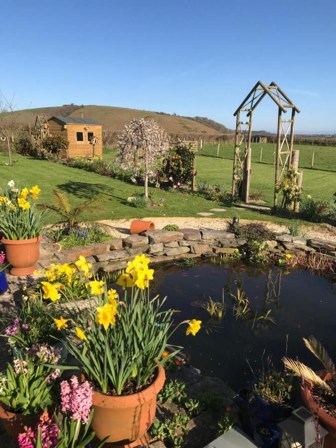 Westerley Country B & B With Exclusive Guest Lounge Buckfastleigh Extérieur photo