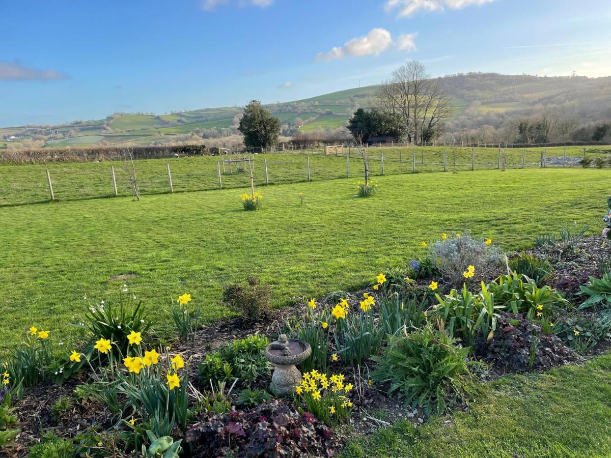 Westerley Country B & B With Exclusive Guest Lounge Buckfastleigh Extérieur photo