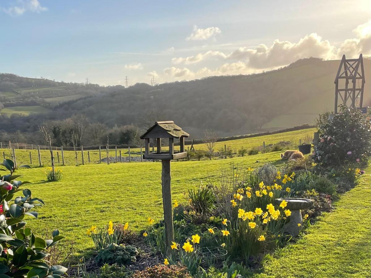 Westerley Country B & B With Exclusive Guest Lounge Buckfastleigh Extérieur photo