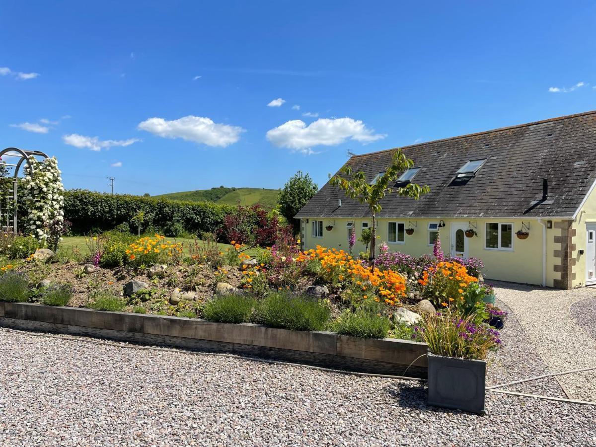 Westerley Country B & B With Exclusive Guest Lounge Buckfastleigh Extérieur photo