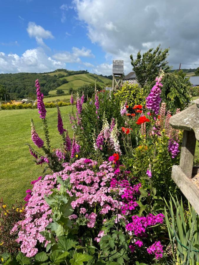 Westerley Country B & B With Exclusive Guest Lounge Buckfastleigh Extérieur photo