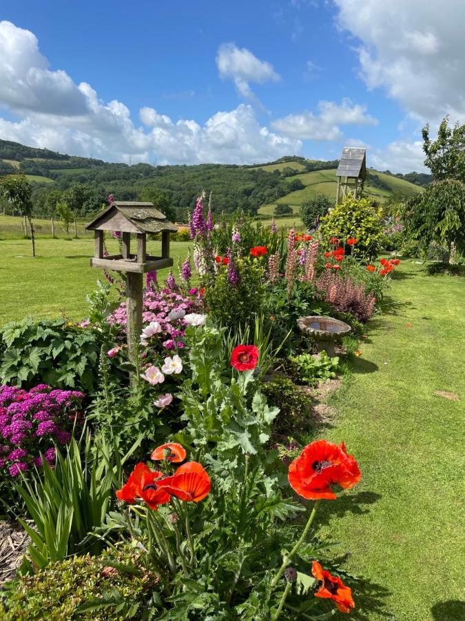 Westerley Country B & B With Exclusive Guest Lounge Buckfastleigh Extérieur photo