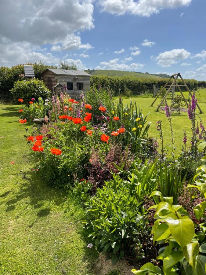 Westerley Country B & B With Exclusive Guest Lounge Buckfastleigh Extérieur photo