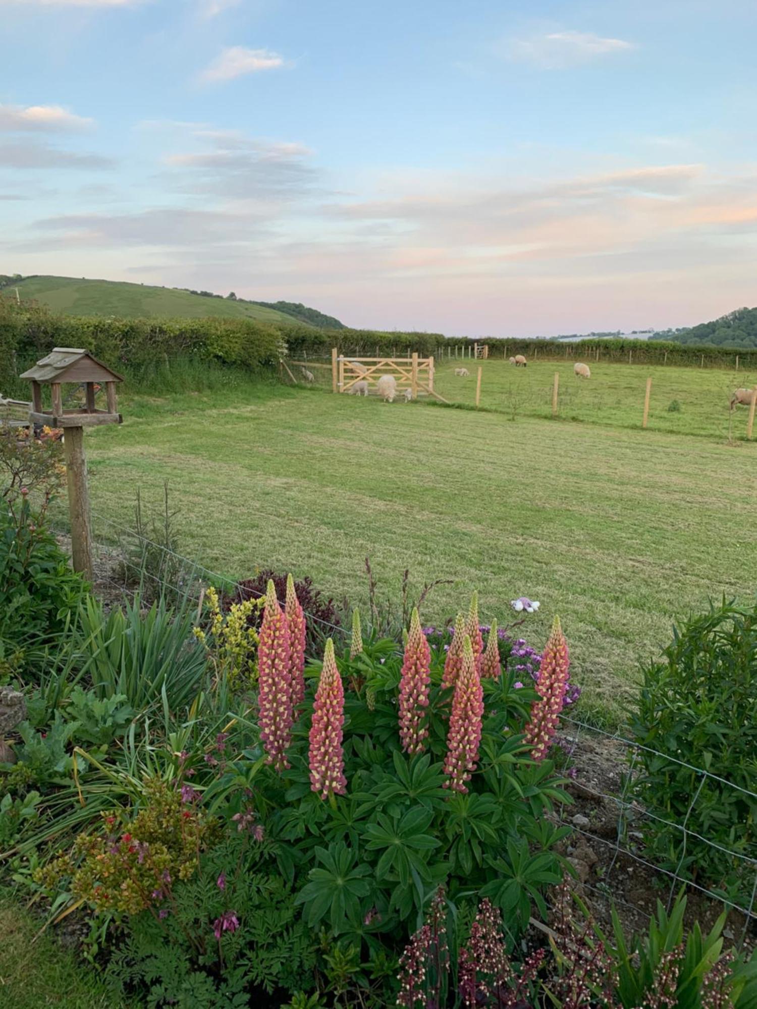Westerley Country B & B With Exclusive Guest Lounge Buckfastleigh Extérieur photo