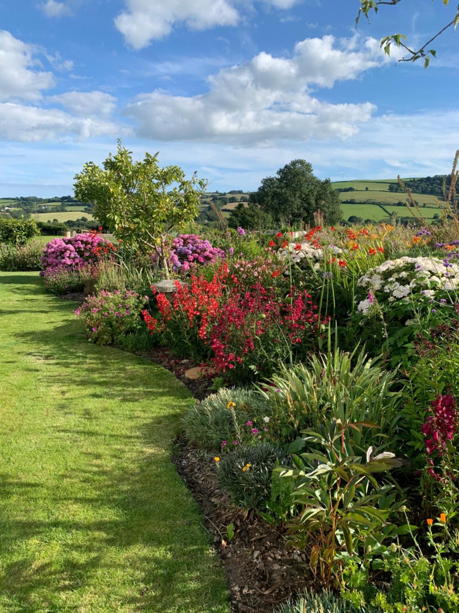 Westerley Country B & B With Exclusive Guest Lounge Buckfastleigh Extérieur photo